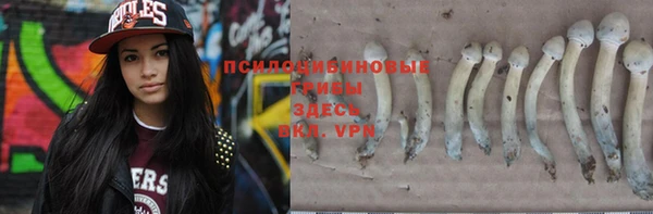 СК Куйбышев
