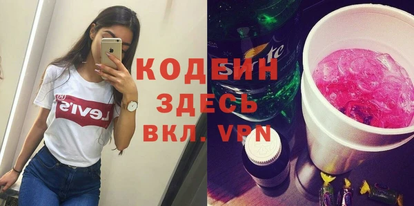 spice Лагань