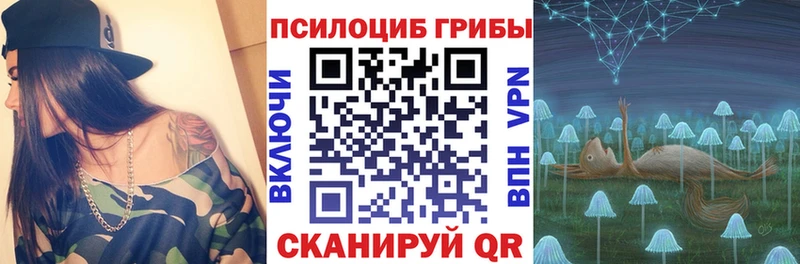 Галлюциногенные грибы GOLDEN TEACHER Купить Мыски